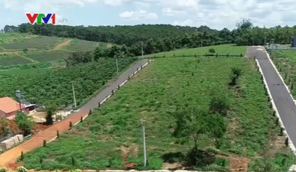 Những con đường đã được mở ngay trong lòng đồi chè tại Lâm Đồng.